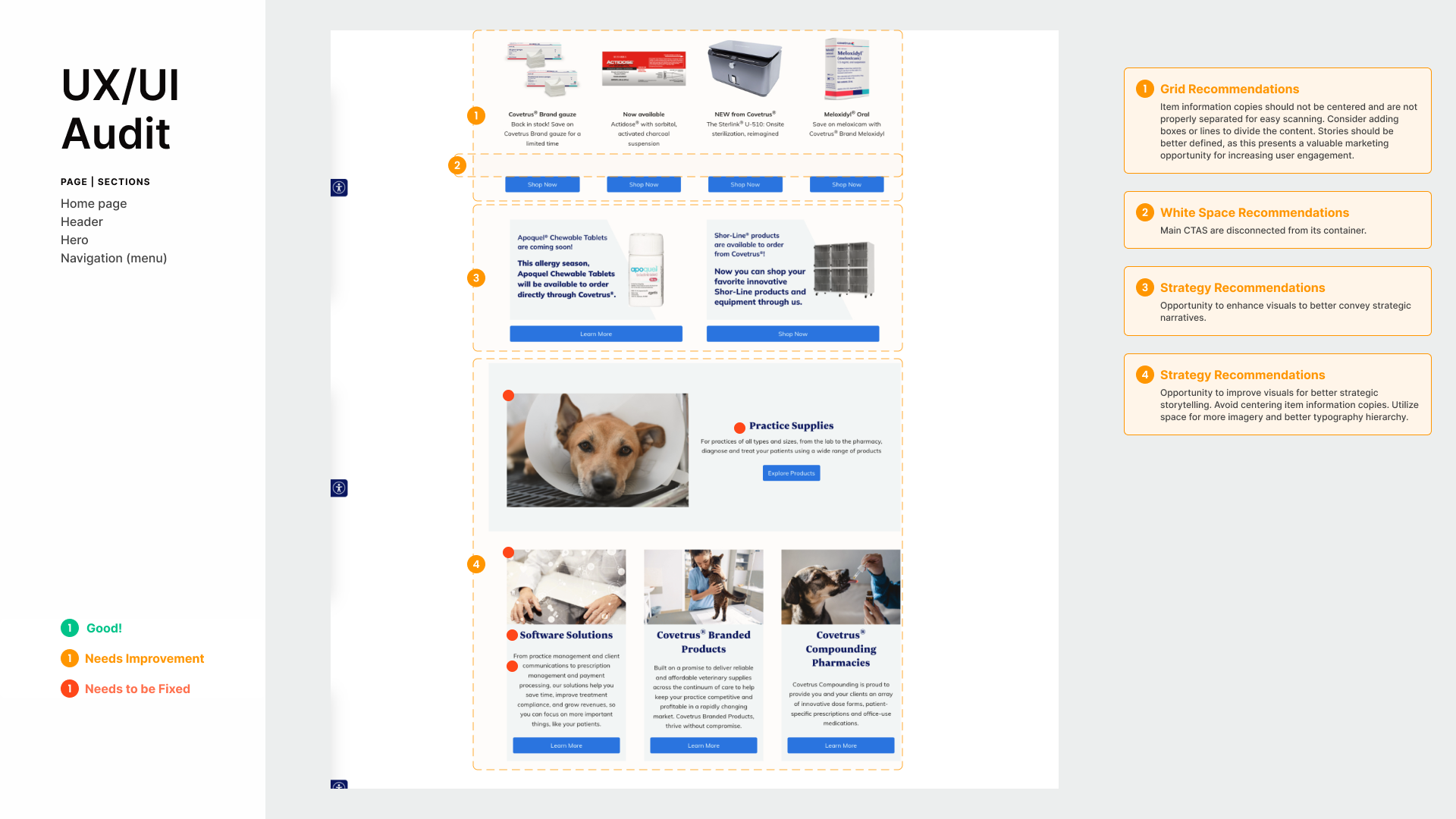Homepage Audit